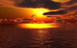 Sea of Gold