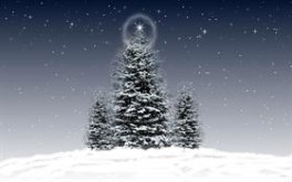 Christmas Trees 3 