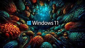 4K Win11 Pbs
