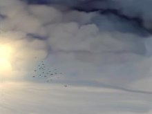 To catch the wind