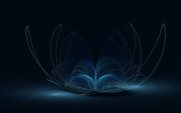 Gossamer wings