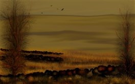 The field