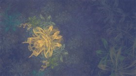 Pastel flower garden