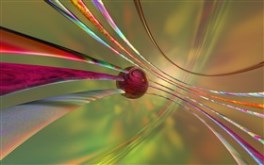 Introjection III