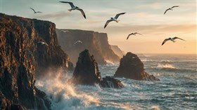 Ocean Cliffs Beauty