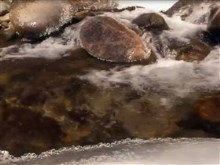 icesy stream