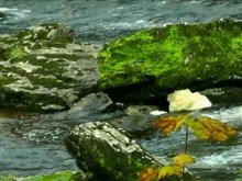 green rock stream