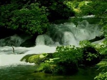 river rush