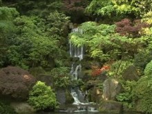 jardin's garden waterfalls
