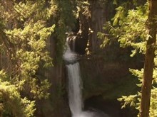 deep mayan forest waterfall
