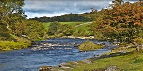 Autumn Creek Scenery