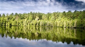 Lake Beauty