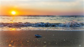 Stranded (4k)