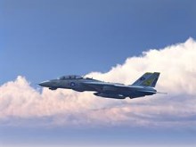 F-14 Tomcat