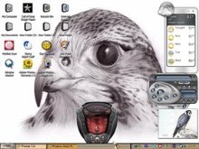 Falcon