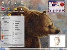 bear