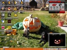 pumkin and friend