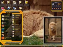 white lions 2