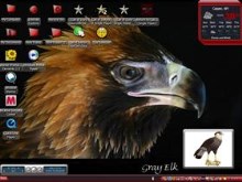 hawk7