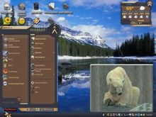 white bear