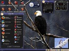 pretty bird 1