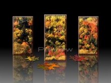 Autumn's Reflection