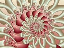 Filigree Beauty