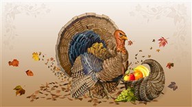 Thanksgiving Tom