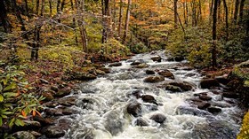Chigago Creek Fall