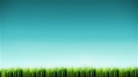 Simple Grass and Sky