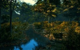 Nature01