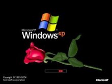 Red Rose
